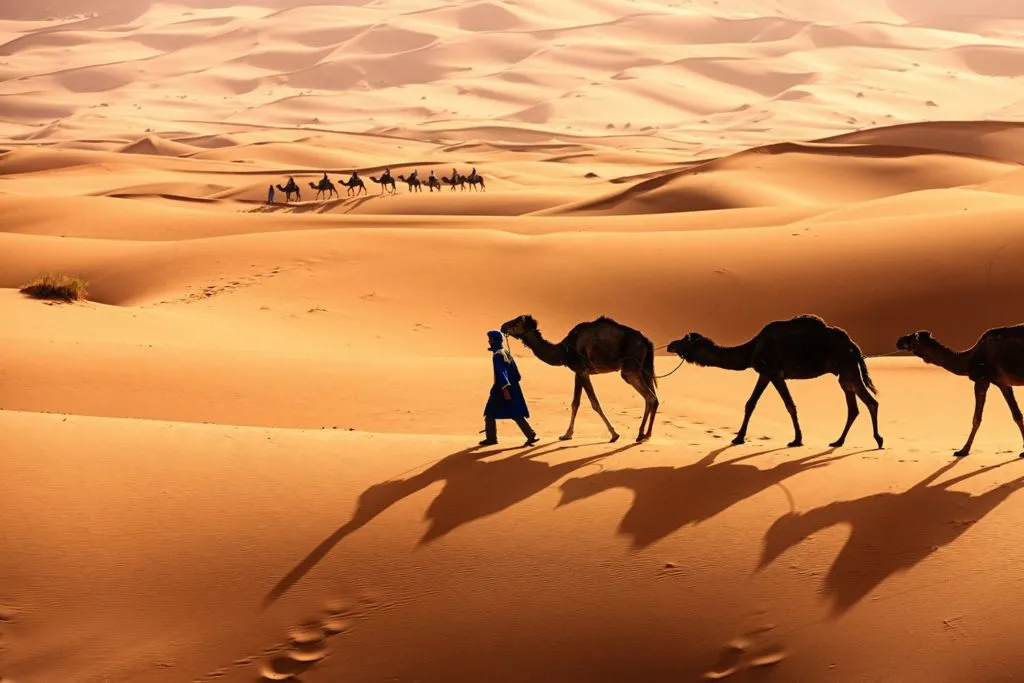 Sahara-1024x683