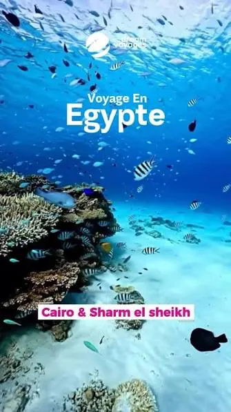 Voyage à SHARM & CAIRO
